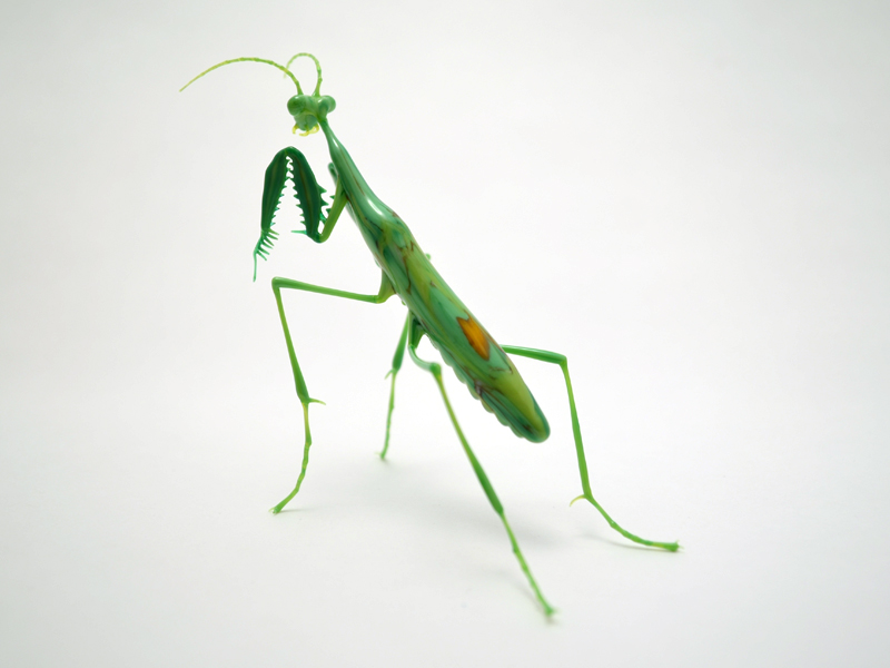Preying Mantis, glass bug by Wesley Fleming