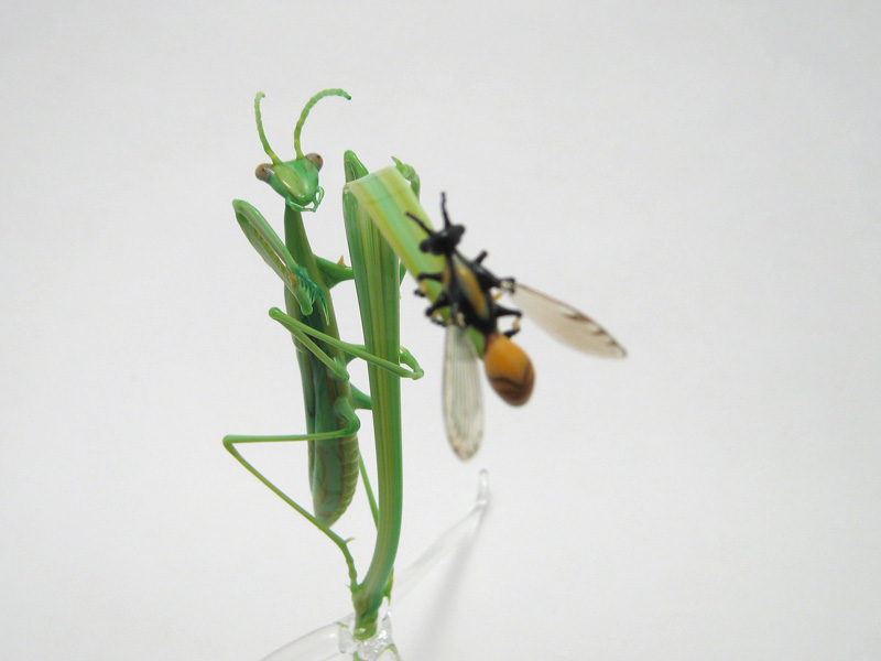 Mantis Stalking a Wasp, glass insect by Wesley Fleming
