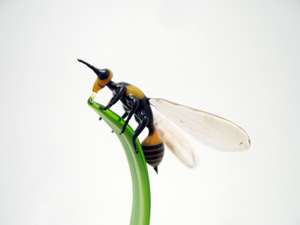 Mantis Stalking a Wasp, glass wasp by Wesley Fleming