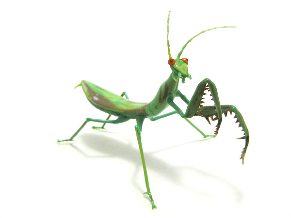 Praying Mantis, glass insect by Wesley Fleming