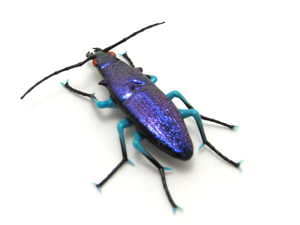 Mini Tiger Beetle, glass insect by Wesley Fleming