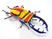 primary-stag-beetle