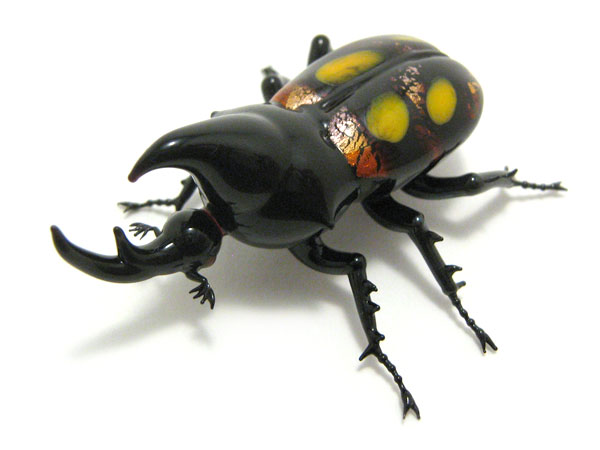 Rhinocerous Beetle, glass beetle by Wesley Fleming
