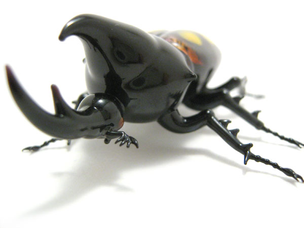 Rhinocerous Beetle, glass insect by Wesley Fleming