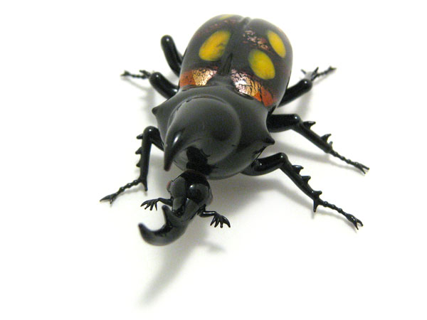 Rhinocerous Beetle, glass insect by Wesley Fleming