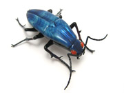 silver-blue-beetle
