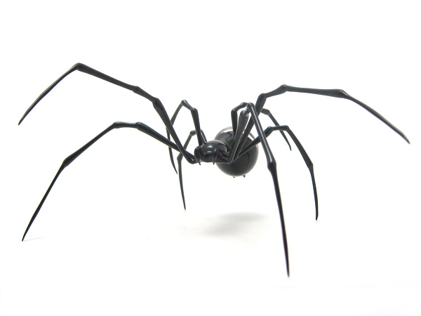 Amber Skulback Spider, glass skull by Wesley Fleming