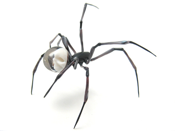 Zebra Skulback Spider, glass skull by Wesley Fleming