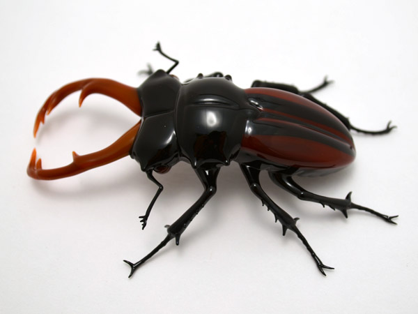 Striped Stag Beetle, glass insect by Wesley Fleming