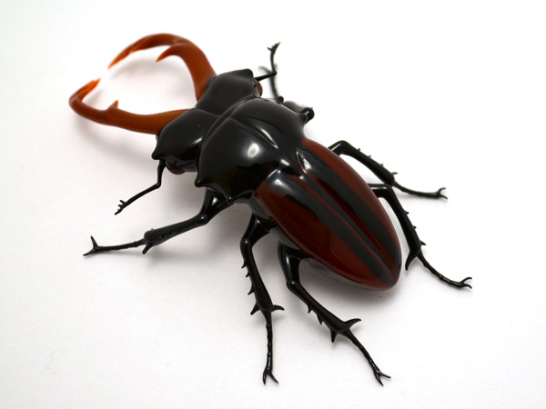 Striped Stag Beetle, glass bug by Wesley Fleming