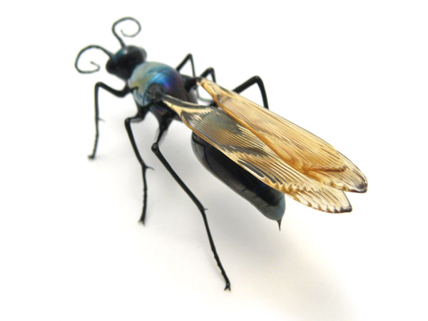 tarantula hawk, glass bug by Wesley Fleming
