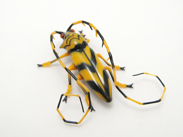 Thermistis taiwanensis, glass insect by Wesley Fleming