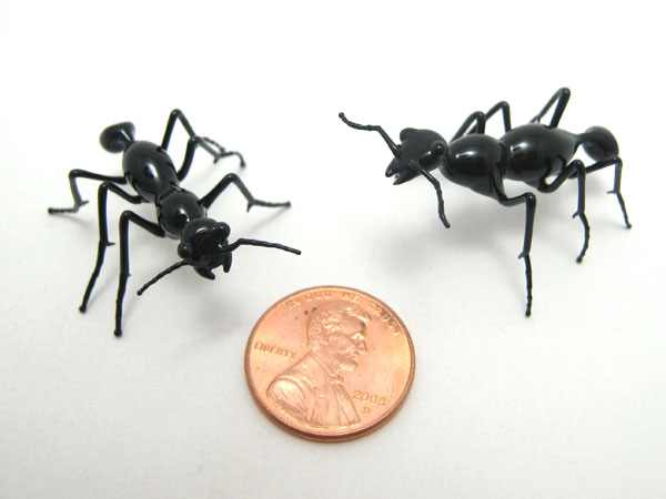 Tiny Ants, glass insect by Wesley Fleming