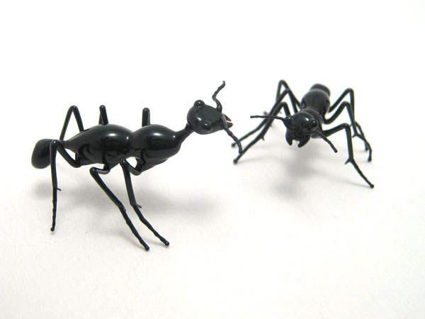 Tiny Ants, glass beetle by Wesley Fleming