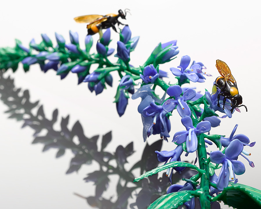 Veronica longifolia, glass dragonfly by Wesley Fleming